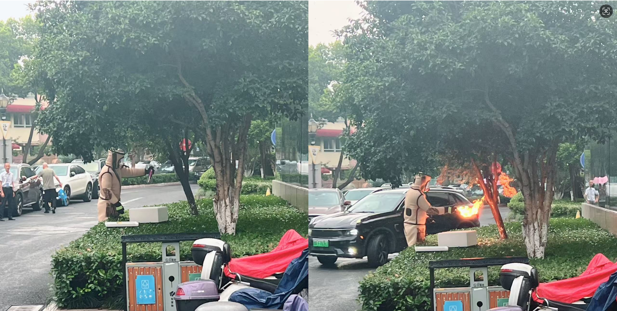 安全守護(hù)零距離，水晶城快速處置外圍蜂群隱患